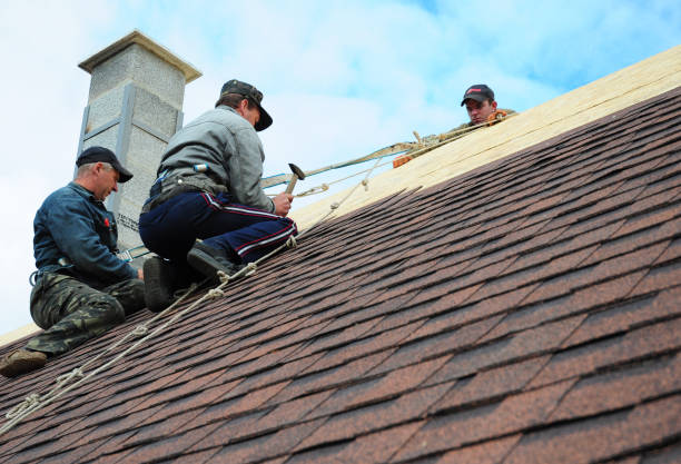 Best Gutter Installation and Roofing  in Brownstown, PA